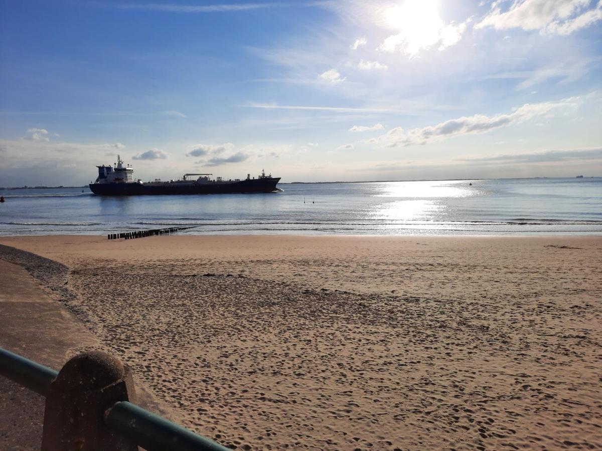 De Notenbalk Aan Zee Bed & Breakfast ลิสซิงเงิน ภายนอก รูปภาพ