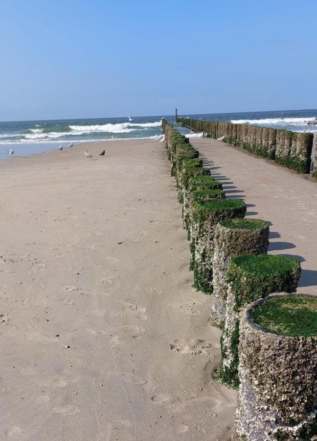 De Notenbalk Aan Zee Bed & Breakfast ลิสซิงเงิน ภายนอก รูปภาพ